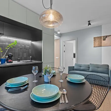 2br With Balcony On Calea Victoriei Apartment